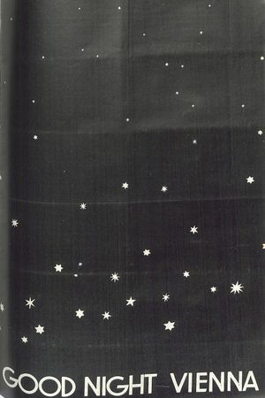 Magic Night's poster