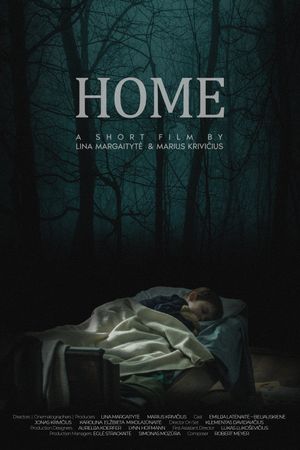 Home's poster