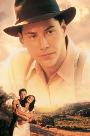 A Walk in the Clouds's poster