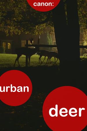 Canon: Urban Deer's poster