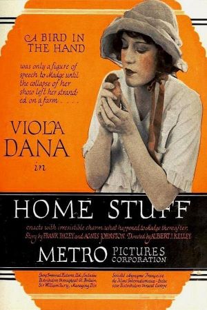 Home Stuff's poster image