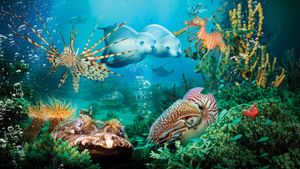 Under the Sea 3D's poster
