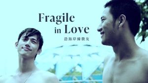 Fragile in Love's poster