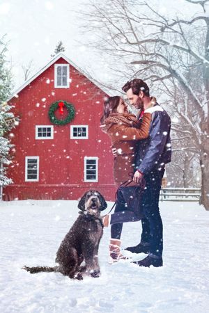 A Furry Little Christmas's poster