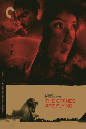 The Cranes Are Flying's poster