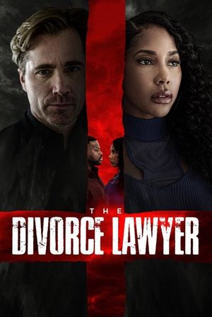 The Divorce Lawyer's poster