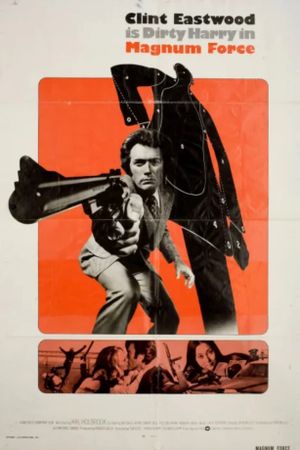 Magnum Force's poster