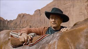 The Searchers's poster