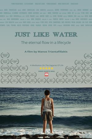 Just Like Water's poster