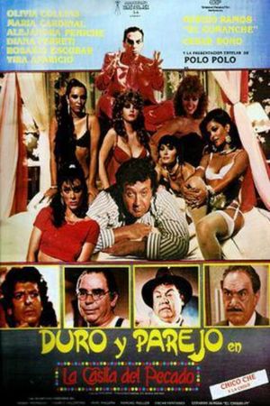Duro y parejo en la casita de pecado's poster