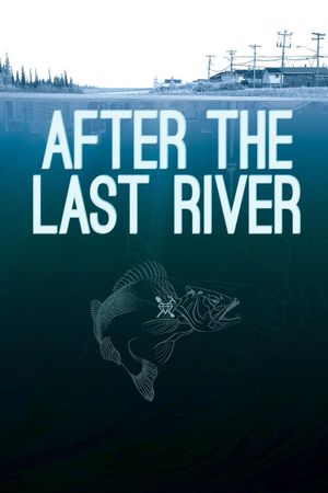 After the Last River's poster image