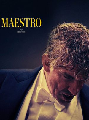 Maestro's poster