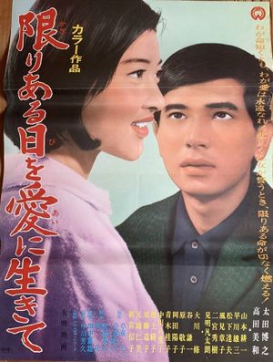 The Suitors's poster