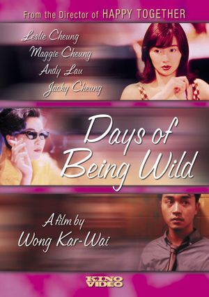 Days of Being Wild's poster