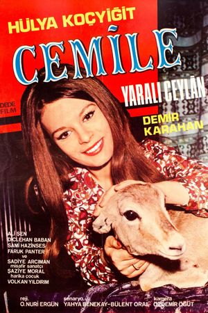 Yarali Ceylan's poster