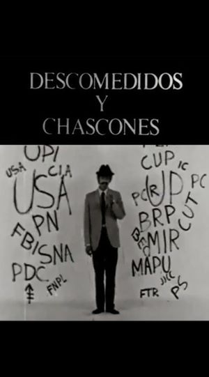 Descomedidos y chascones's poster image