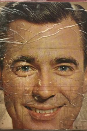 Mr. Wonderful's poster
