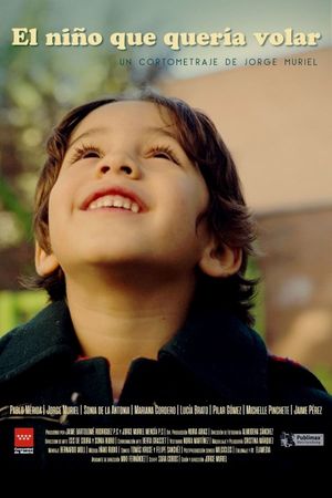 The Boy Who Wanted to Fly's poster