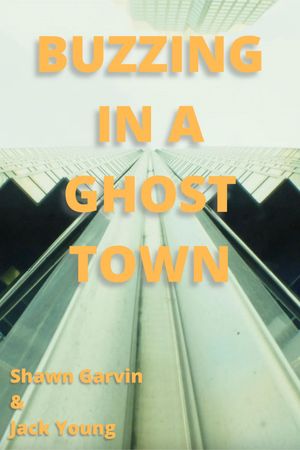 Buzzing in a Ghost Town's poster