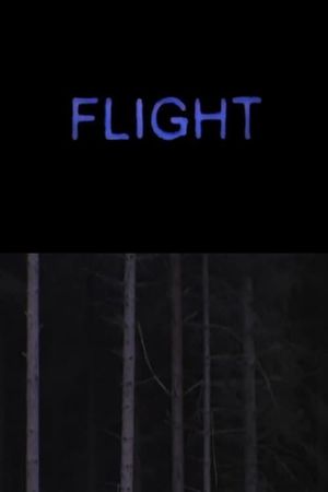 Flight's poster