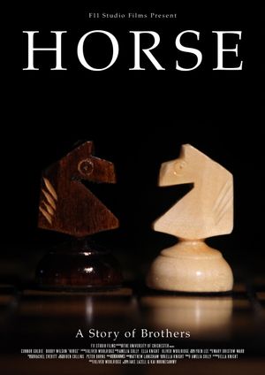 Horse's poster