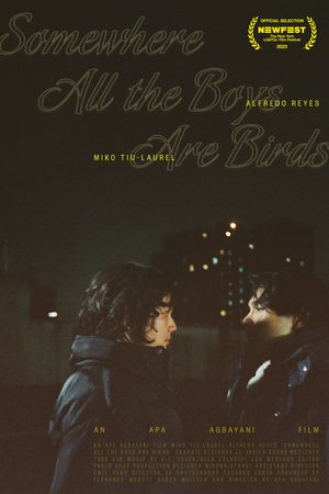 Somewhere all the boys are birds's poster