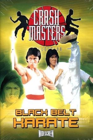 Black Belt Karate's poster