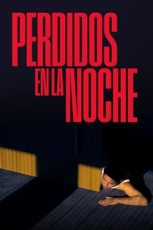 Lost in the Night's poster