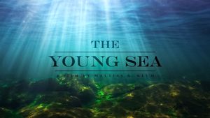 The Young Sea's poster