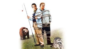 The Great Outdoors's poster