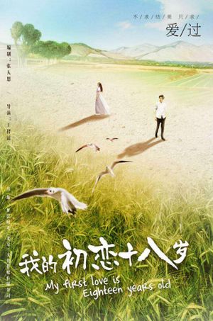 我的初恋十八岁's poster