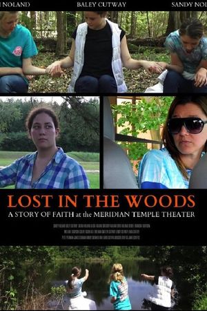 Lost in the Woods's poster