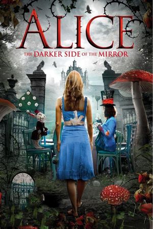 The Other Side of the Mirror's poster image