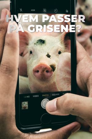 Hvem passer på grisene?'s poster