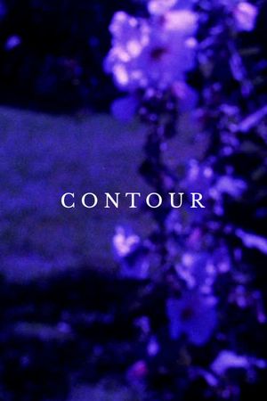Contour's poster