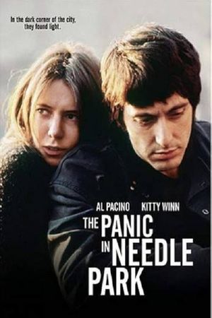 The Panic in Needle Park's poster
