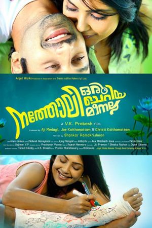 Natholi Oru Cheriya Meenalla's poster