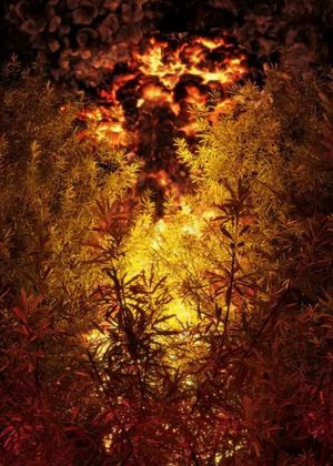 Firewalk's poster