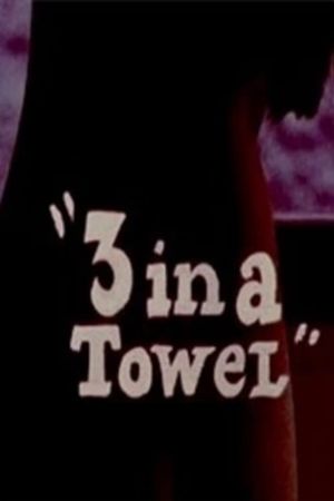 3 in a Towel's poster