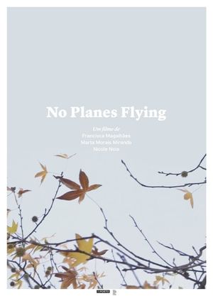 No Planes Flying's poster