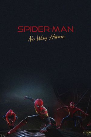 Spider-Man: No Way Home's poster