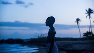 Moonlight's poster