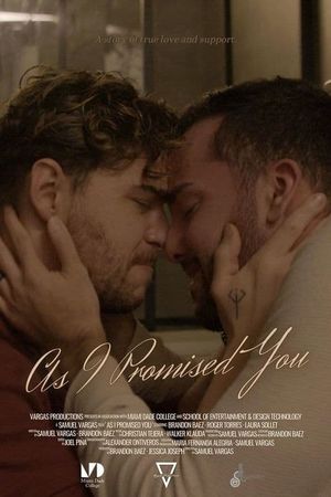 As I Promised You's poster image