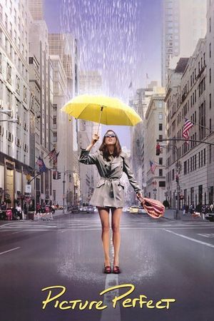 Picture Perfect's poster