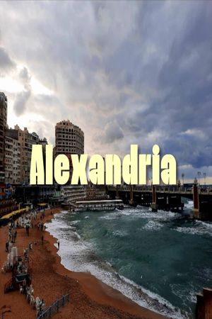 Alexandria's sea road's poster