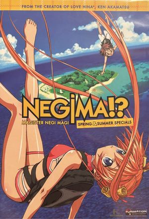 Negima!? Magister Negi Magi Spring & Summer Specials's poster