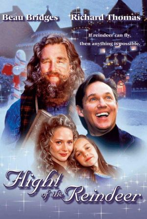 The Christmas Secret's poster