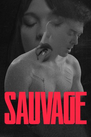 Sauvage's poster