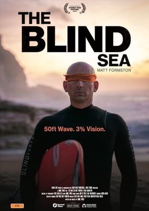 The Blind Sea's poster