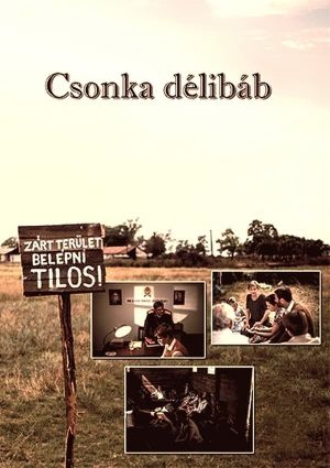 Csonka délibáb's poster image